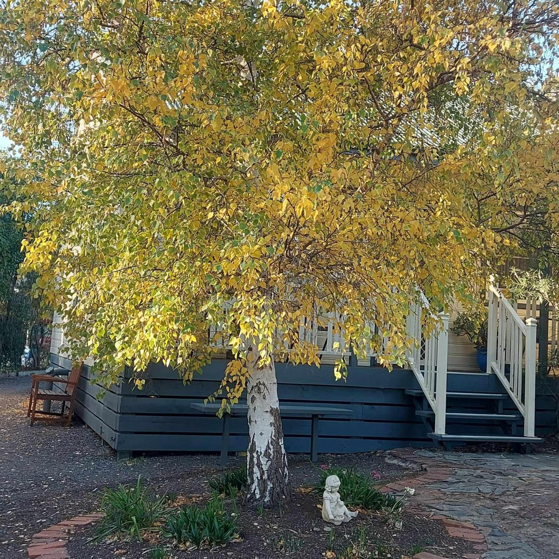 Avoca Cottages Victoria Zewnętrze zdjęcie